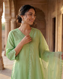 Pastel Green Silk Blend Straight Suit Set